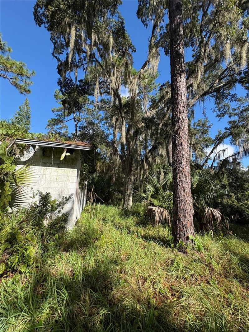 Curryville Road, Chuluota, FL 32766 Photo