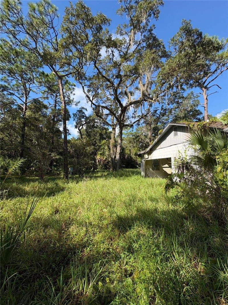 Curryville Road, Chuluota, FL 32766 Photo