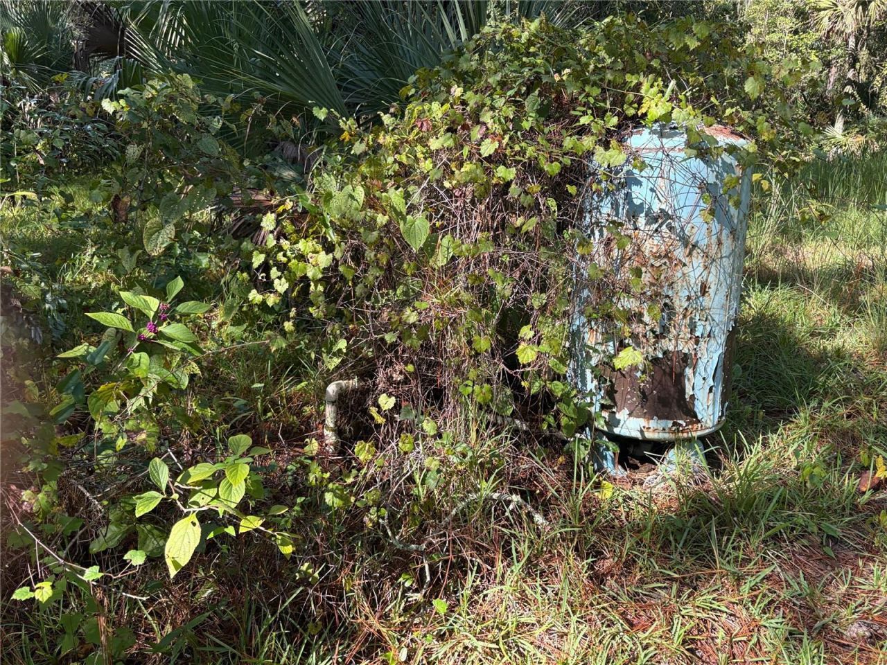 Curryville Road, Chuluota, FL 32766 Photo