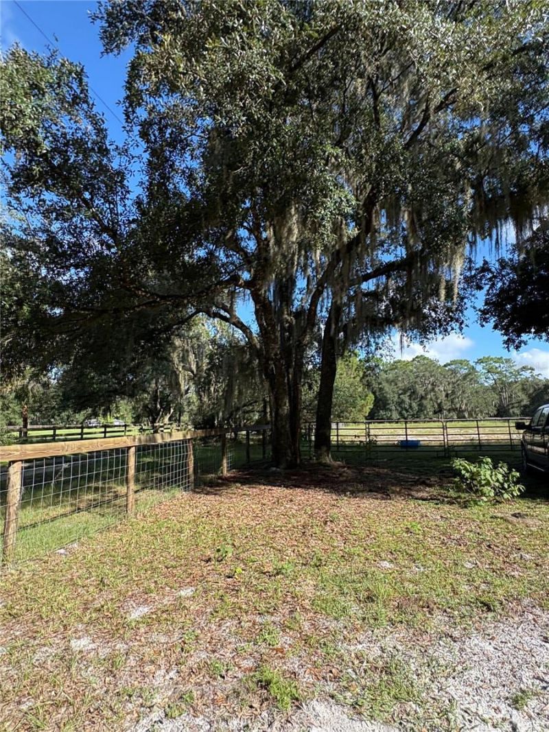 Curryville Road, Chuluota, FL 32766 Photo
