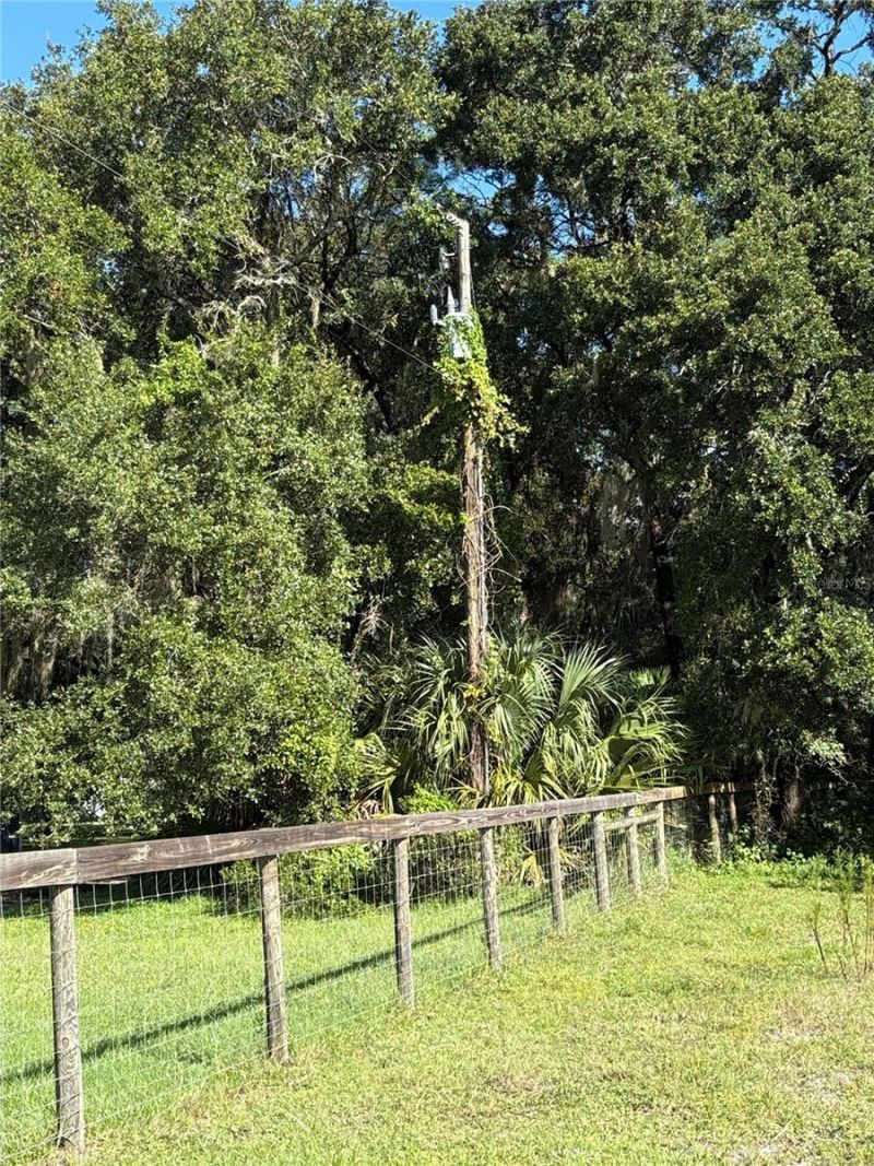Curryville Road, Chuluota, FL 32766 Photo