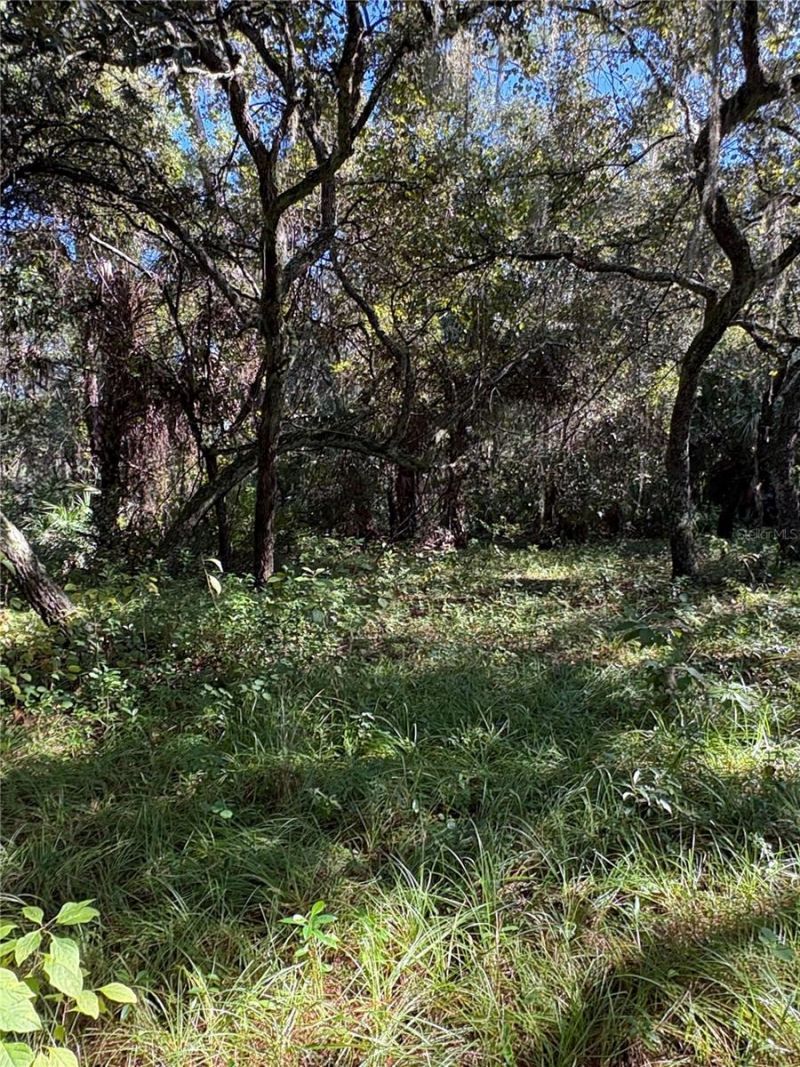 Curryville Road, Chuluota, FL 32766 Photo