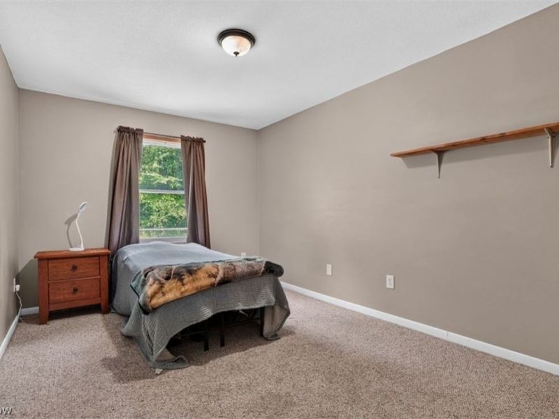 1318 Daly Road, Ashtabula, OH 44004 Photo 24