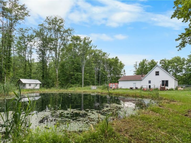 1318 Daly Road, Ashtabula, OH 44004 Photo 38