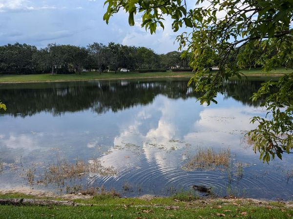 11259 NW 65th Manor, Parkland, FL 33076