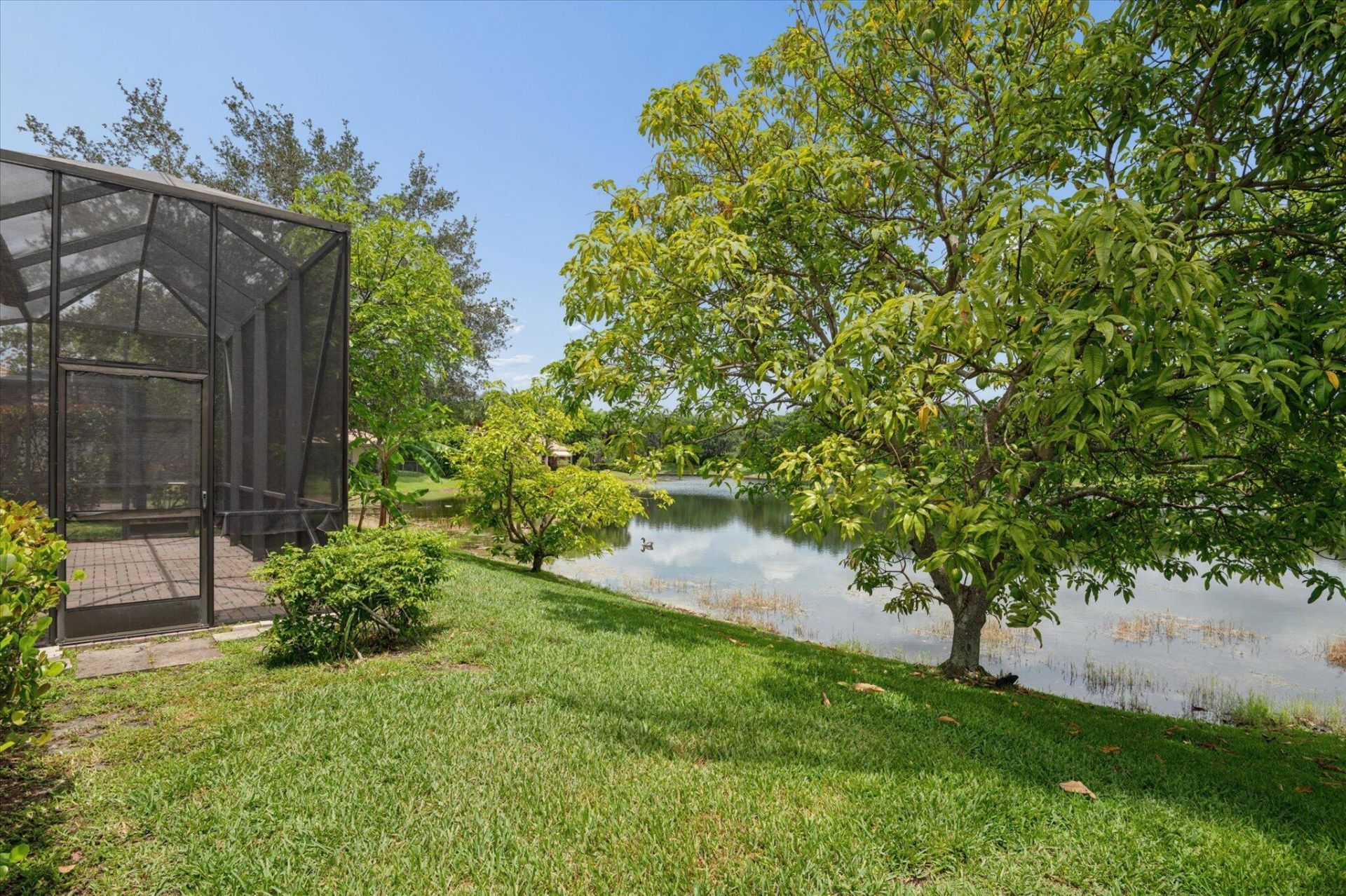 11259 NW 65th Manor, Parkland, FL 33076 Photo
