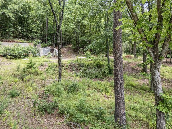 1656 Walnut Valley Drive , Dover, AR 72837
