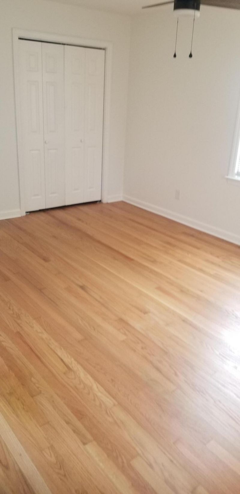 1439 Allen Street Photo 18