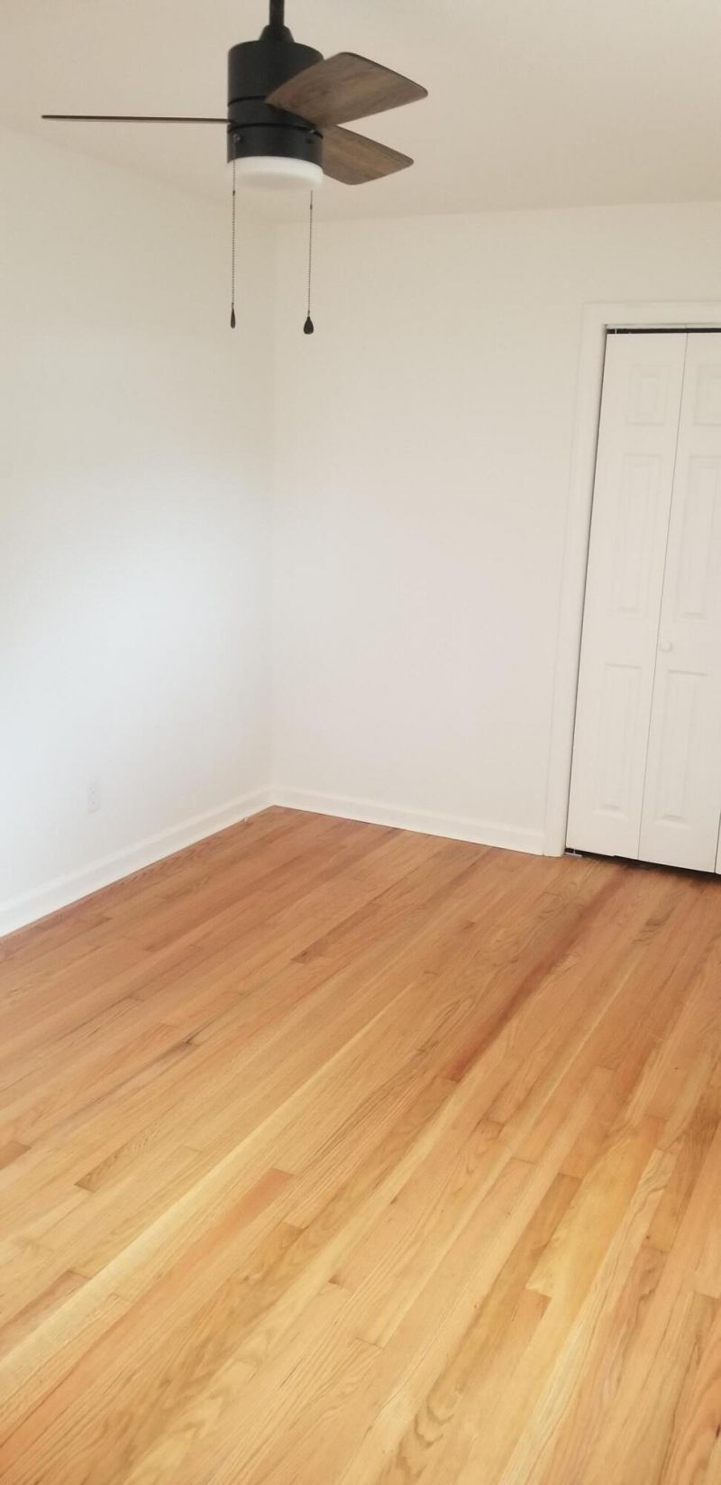 1439 Allen Street Photo 20