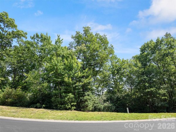 99999 Shining Rock Path , Horse Shoe, NC 28742