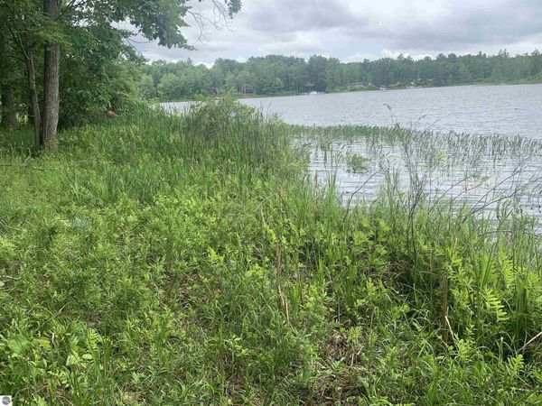 Wildwood Court, Evart, MI 49631