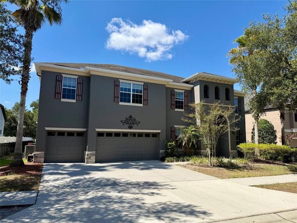 10531 MISTFLOWER LANE , TAMPA, FL 33647