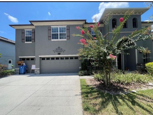 10531 MISTFLOWER LANE , TAMPA, FL 33647