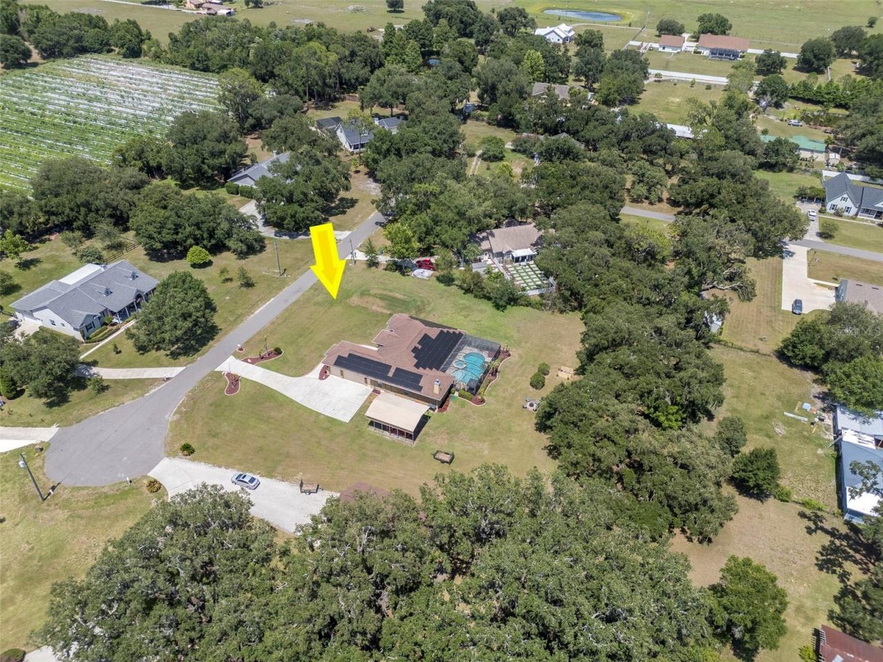 3823 Ancient Oak Trail, Plant City, FL 33565 Photo