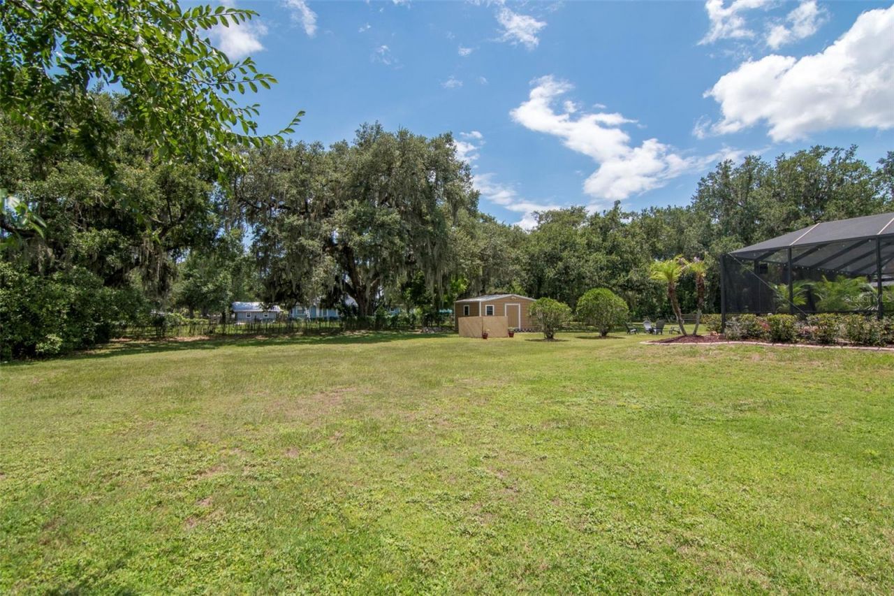 3823 Ancient Oak Trail, Plant City, FL 33565 Photo