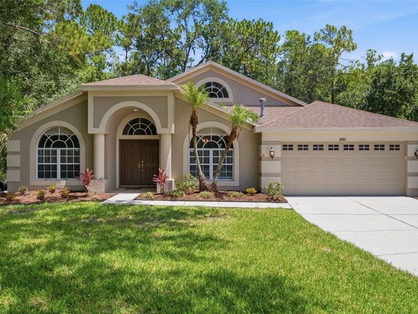 8102 KENDELWICK COURT , TAMPA, FL 33647