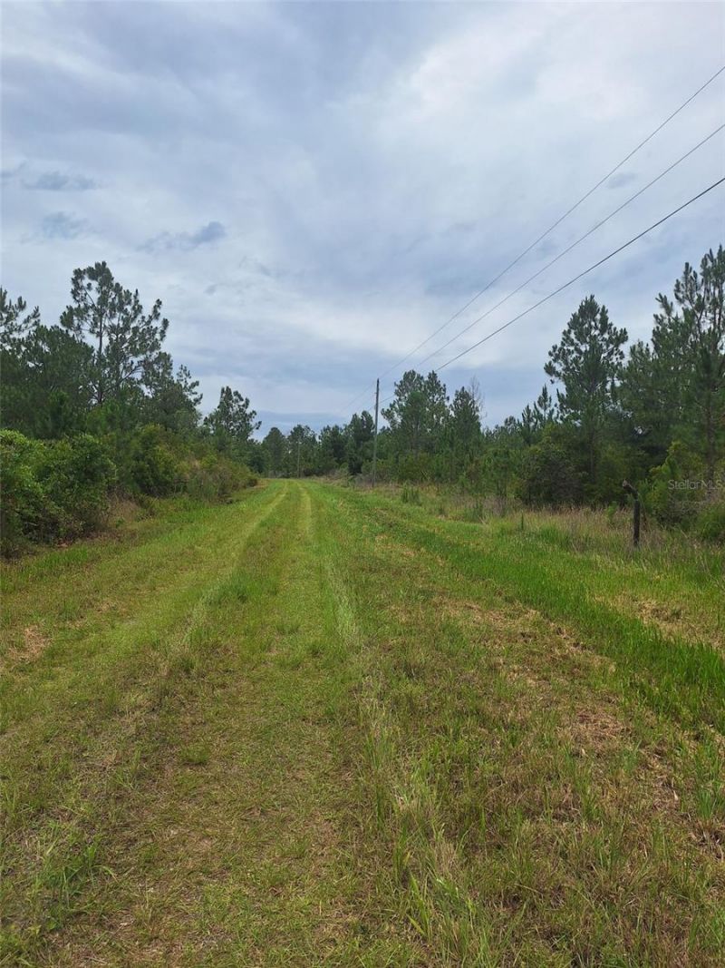 0 Unassigned Location Re, Perry, FL 32348 Photo