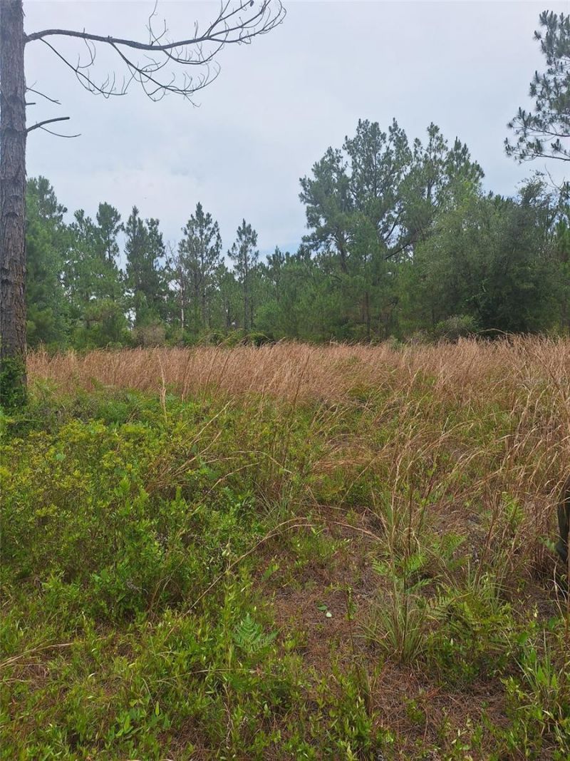 0 Unassigned Location Re, Perry, FL 32348 Photo