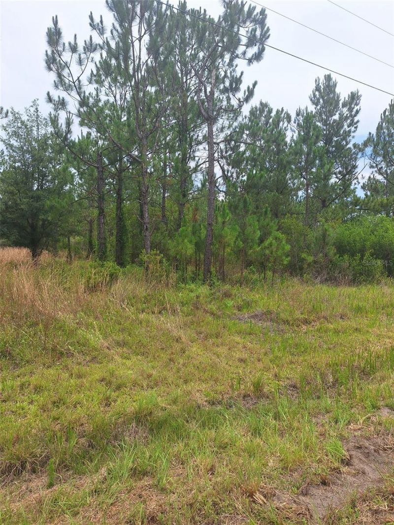 0 Unassigned Location Re, Perry, FL 32348 Photo