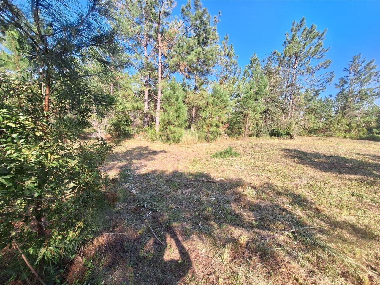 0 Unassigned Location Re, Perry, FL 32348 Photo
