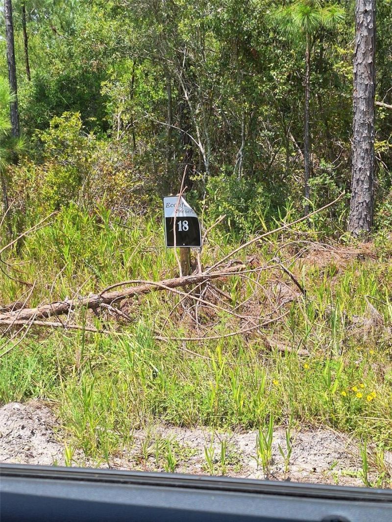 0 Unassigned Location Re, Perry, FL 32348 Photo