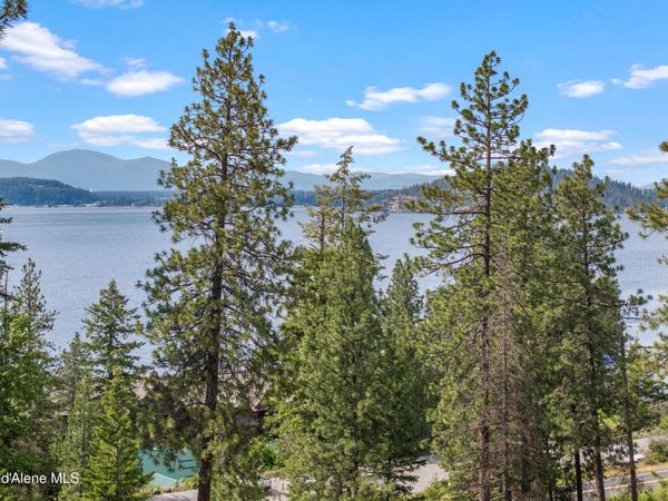 Lot 3 Jackleg Trail, Harrison, ID 83833