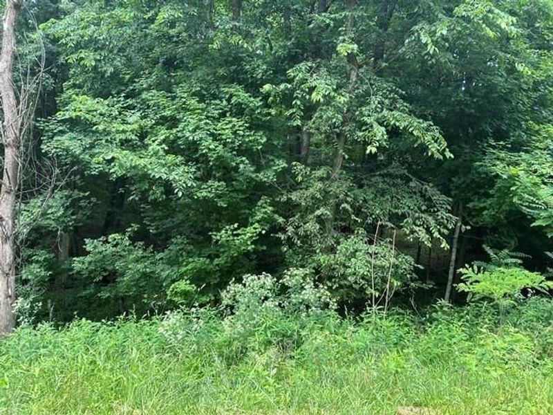 0 West Highland Drive , Howard, OH 43028 Photo 2