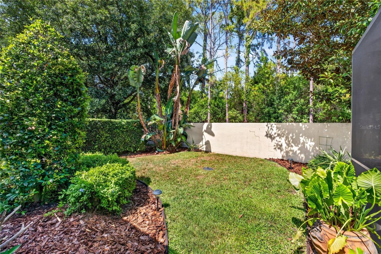 4726 Lago Vista Circle, Land O Lakes, FL 34639 Photo