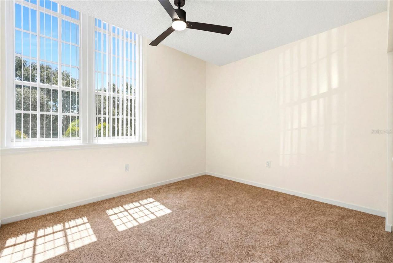 701 Mirror Lake Drive N, Unit 202, Saint Petersburg, FL 33701 Photo