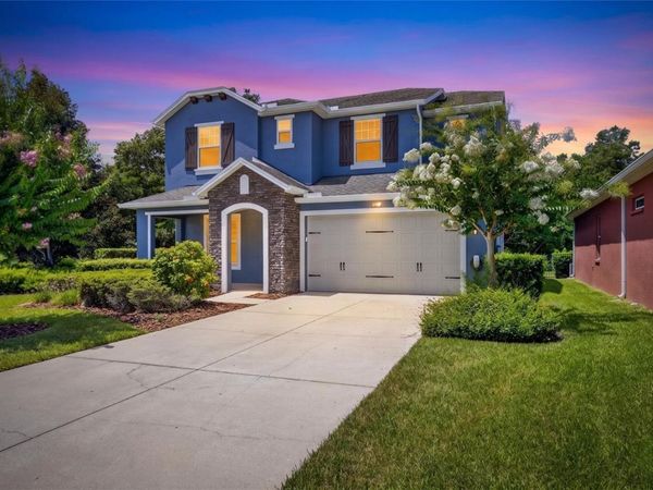 3506 WICKET FIELD ROAD , LUTZ, FL 33548