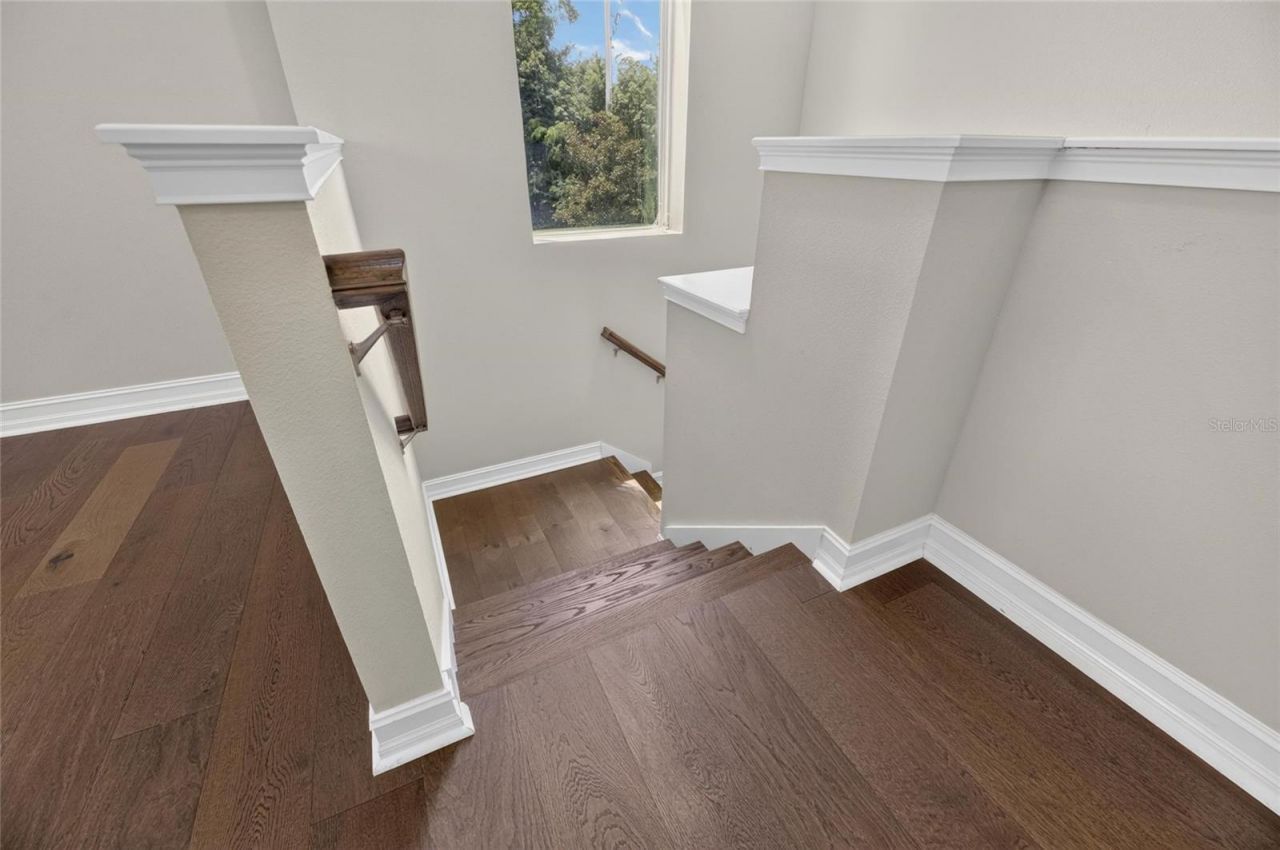3506 Wicket Field Road , Lutz, FL 33548 Photo
