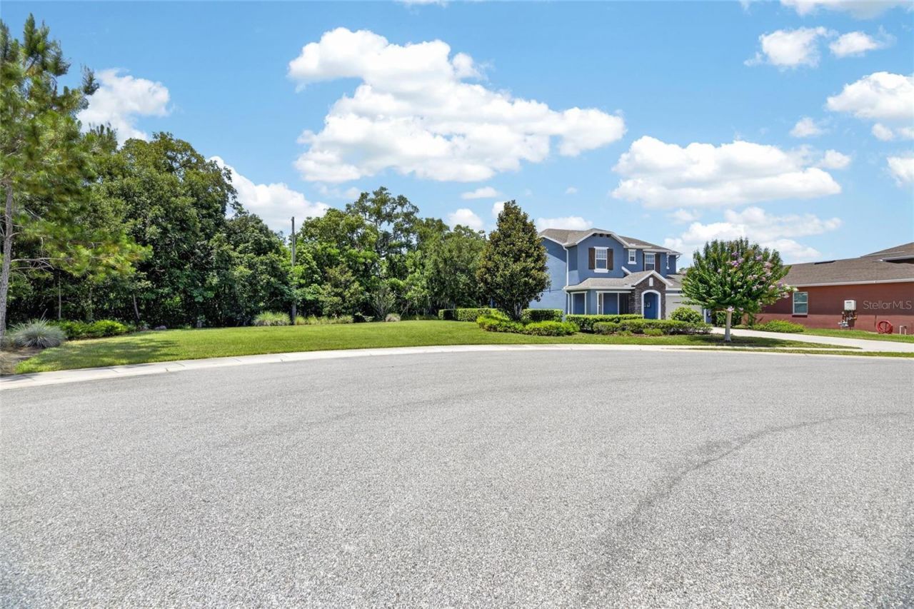 3506 Wicket Field Road , Lutz, FL 33548 Photo