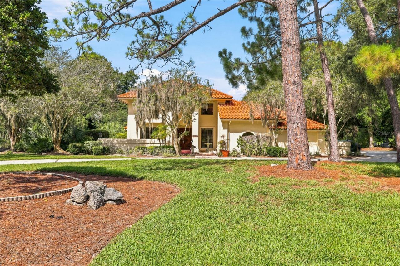 5359 Saddlebrook Way, Wesley Chapel, FL 33543 Photo