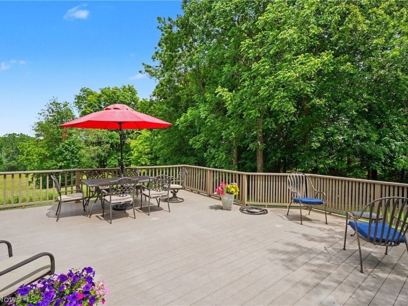 4473 State Road, Medina, OH 44256 Photo 28