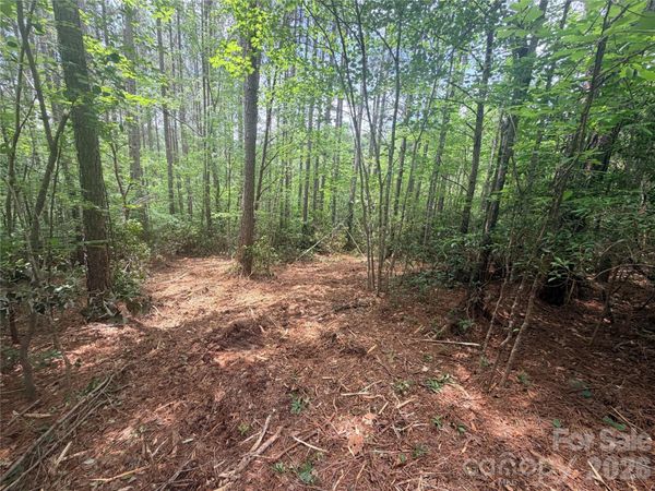 0 Gold Creek Point , Union Mills, NC 28167