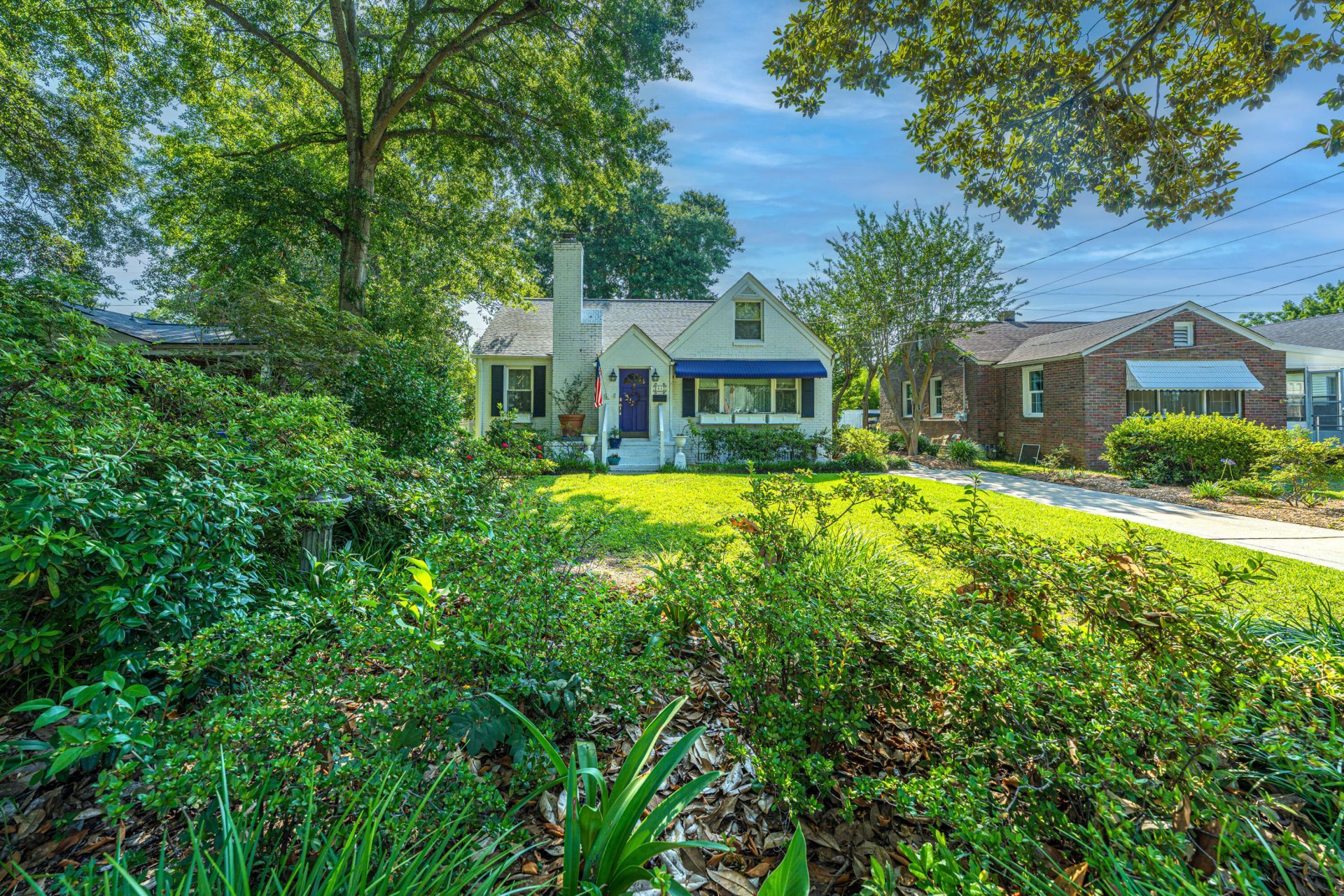 64 Clemson Street Photo 42