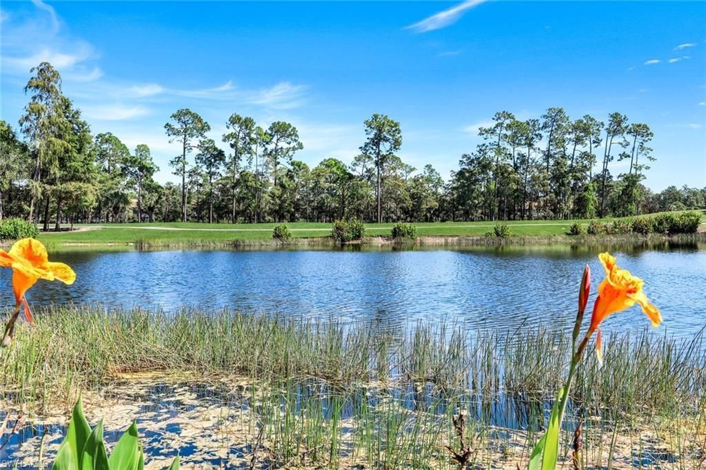 8247 Parkstone Pl , Unit 205, Naples, FL 34120 Photo