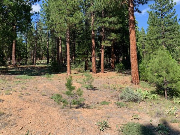 678 Blacktail Ridge, Portola, CA 96122