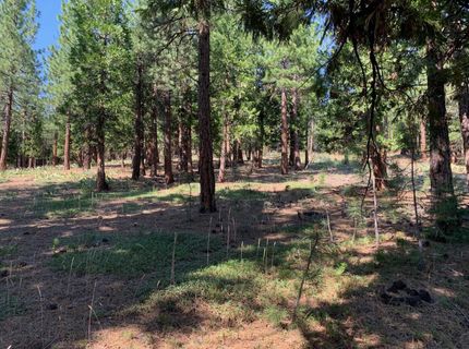 678 Blacktail Ridge, Portola, CA 96122 Photo