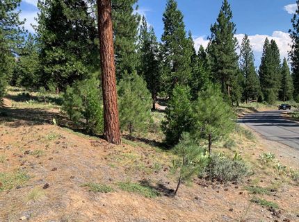 678 Blacktail Ridge, Portola, CA 96122 Photo