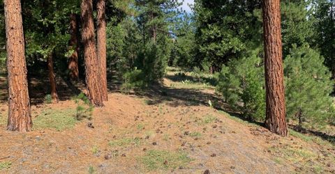 678 Blacktail Ridge, Portola, CA 96122 Photo