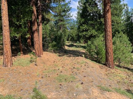 678 Blacktail Ridge, Portola, CA 96122 Photo