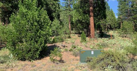 678 Blacktail Ridge, Portola, CA 96122 Photo