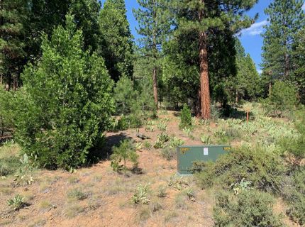 678 Blacktail Ridge, Portola, CA 96122 Photo