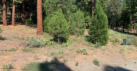 678 Blacktail Ridge, Portola, CA 96122 Photo