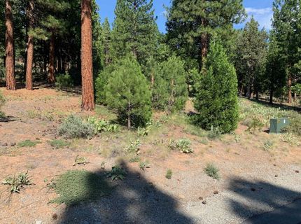 678 Blacktail Ridge, Portola, CA 96122 Photo