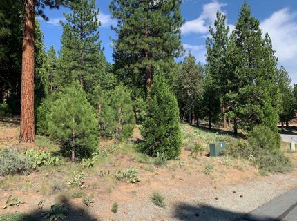 678 Blacktail Ridge, Portola, CA 96122 Photo