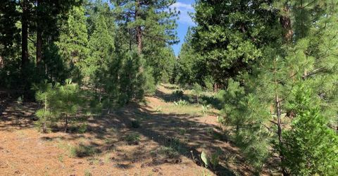 678 Blacktail Ridge, Portola, CA 96122 Photo