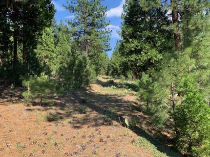 678 Blacktail Ridge, Portola, CA 96122 Photo