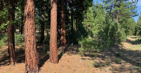 678 Blacktail Ridge, Portola, CA 96122 Photo